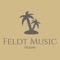 Pictures - Feldt Music lyrics