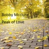 Peak of Love - Single