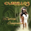 Banda Cuisillos - No Es Que Te Quiera