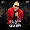 Sei Que Você Quer - Single