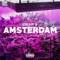 Amsterdam - Crap's lyrics