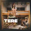 tere bina (Acoustic) [feat. Jonita Gandhi] - Single album lyrics, reviews, download