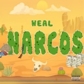 Narcos artwork