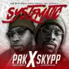 Systematic (feat. Skypp) - Single album lyrics, reviews, download