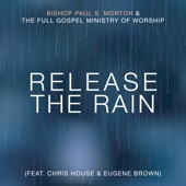 Release the Rain (feat. Chris House & Eugene Brown) [Radio Edit] artwork