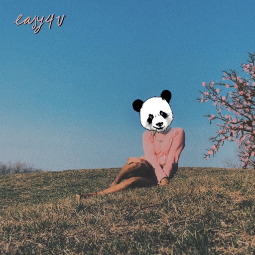 Album artwork
