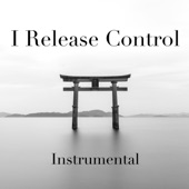 I Release Control artwork