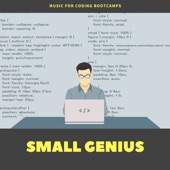Small Genius - Music for Coding Bootcamps, Relaxation Ambient Sounds for Homework artwork