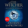 Andrzej Sapkowski - The Tower of the Swallow