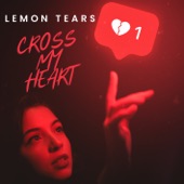 Cross My Heart artwork