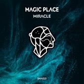 Miracle artwork