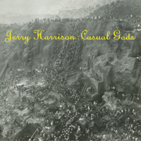 Jerry Harrison - Casual Gods artwork