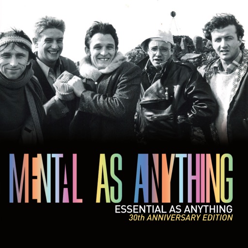 Art for Live It Up by Mental As Anything