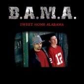 Sweet Home Alabama artwork