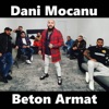 Beton Armat - Single