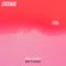 BIRDS - Stockhaus lyrics