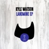 Kyle Watson - The Sample (Radio Edit)