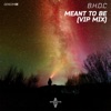 Meant To Be (VIP Mix) - Single