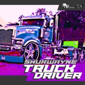 Truck Driver artwork