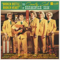 Broken Bottle, Broken Heart by The Country Side Of Harmonica Sam album reviews, ratings, credits