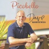 Dave Korteweg - Picobello