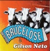 Brucelose & Gilson Neto, 2002
