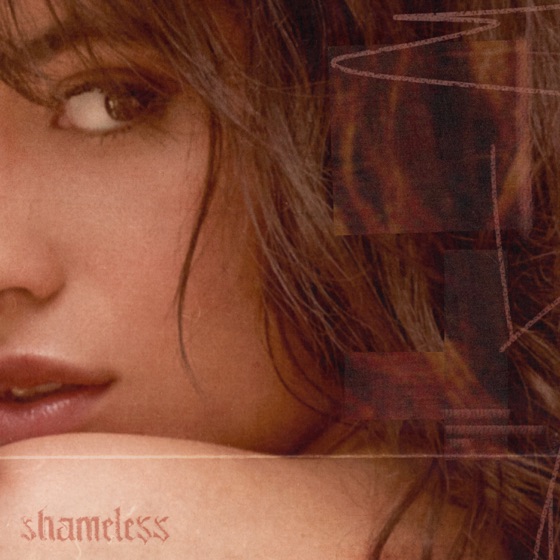 Cover artwork for Shameless
