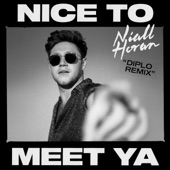 Nice to Meet Ya (Diplo Remix) artwork