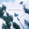 Observing Phenomena