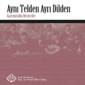 Aynı Telden Ayrı Dilden (Gayrimüslim Besteciler) - Murat Salim Tokaç