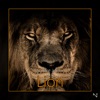 Lion - Single, 2019