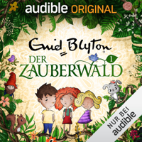 Enid Blyton & Barbara van den Speulhof - Der Zauberwald: Der Zauberwald 1 artwork