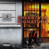 Freestyle signature artwork