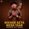 Nikhar Geya Meda Yaar - Prince Ali Khan lyrics