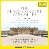 The Peace Concert Versailles (Visual Album / Live at Versailles / 2018) artwork