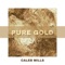 Pure Gold - Caleb Mills lyrics