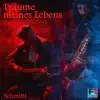 Träume meines Lebens (Spanish Guitar Mix) - Single album lyrics, reviews, download