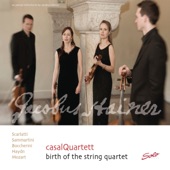 Streichquartett c-moll, Op. 2 Nr. 1, G. 159: III. Allegro artwork