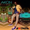 Akon - Pretty Girls (feat. Afro B)