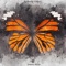 Butterfly Effect - Breeze Oliver lyrics