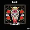 L.A. Calle (feat. Cecy B & Baldacci) - Single album lyrics, reviews, download
