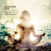 Selection 2018 (Compiled by Cubixx & Jensson) artwork