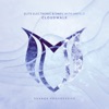 Cloudwalk (with Anveld) - Single