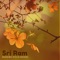 Sri Ram - Massimo Kyo Di Nocera lyrics