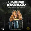 Unripe Pawpaw (feat. Oberz) song lyrics