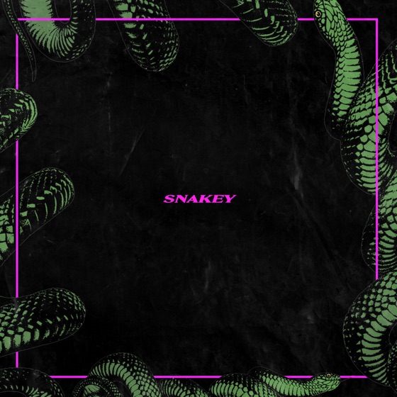 Cover artwork for Snakey