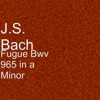 Johann Sebastian Bach - Fugue Bwv 965 in a Minor