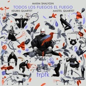 Shalygin: Todos Los Fuegos El Fuego artwork