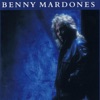 Into The Night by Benny Mardones iTunes Track 8