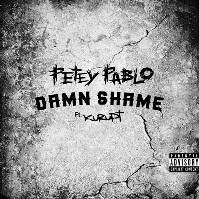 Damn Shame (feat. Kurupt) - Single - Petey Pablo